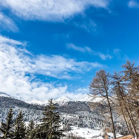 Waldkoenigin 4*